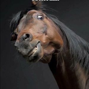 Meet your Posher, Britton